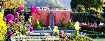 Best 5 Days Gulmarg Adventure Trip Package