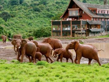 Beautiful 10 Days Nairobi to Sweetwaters Tented Camp Culture Trip Package