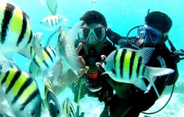 Madagascar Tour Package From Chennai Madagascar Tour Package From Chennai