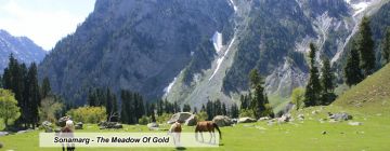 Best 5 Days Gulmarg Adventure Trip Package