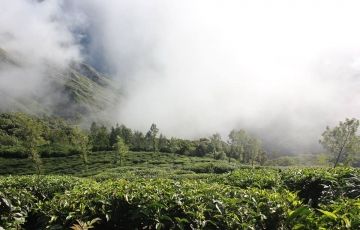 Beautiful 6 Days 5 Nights Munnar Nature Vacation Package