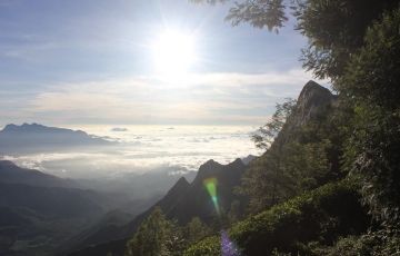 Beautiful 6 Days 5 Nights Munnar Nature Vacation Package