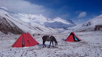 Amazing 3 Days 2 Nights Kullu Wildlife Holiday Package