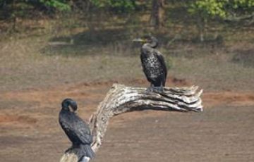 5 Days 4 Nights Kerala, India to Munnar Religious Trip Package