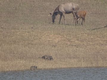 Ecstatic 9 Days 8 Nights Trivandrum Trip Package