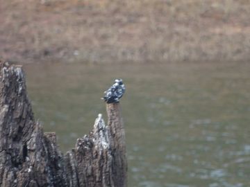 Ecstatic 9 Days 8 Nights Trivandrum Trip Package