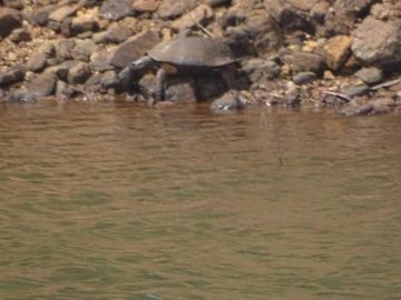 5 Days 4 Nights Kerala, India to Munnar Religious Trip Package