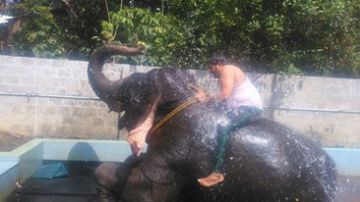 5 Days 4 Nights Kerala, India to Munnar Religious Trip Package