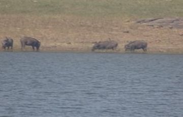 Ecstatic 9 Days 8 Nights Trivandrum Trip Package