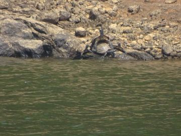 Ecstatic 9 Days 8 Nights Trivandrum Trip Package