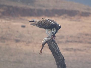 Ecstatic 9 Days 8 Nights Trivandrum Trip Package