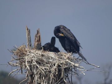 Ecstatic 9 Days 8 Nights Trivandrum Trip Package