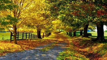 Tour Package for 5 Days 4 Nights from Jammu and Kashmir