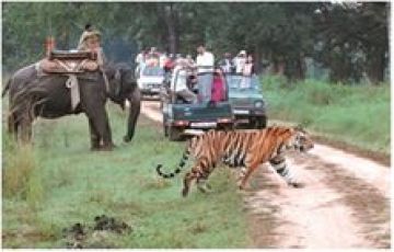 9 Days 8 Nights 3N Nainital Family Vacation Package