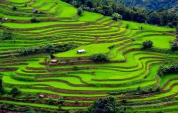 Ecstatic 7 Days 6 Nights Munnar, Thekkady, Kumarakom and Kovalam Tour Package