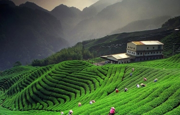 Amazing 6 Days Nainital Holiday Package