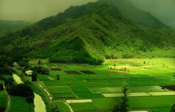 Amazing 3 Days 2 Nights Coorg, Nagarhole National Park and Abbey Falls Hill Stations Trip Package