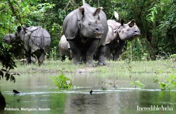 Best 6 Days 5 Nights Guwahati Honeymoon Trip Package