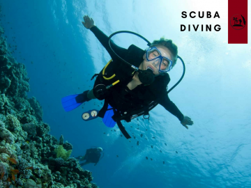 9 Days 8 Nights Kochi to Kovalam Romance Holiday Package