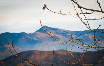 Magical 4 Days 3 Nights Manali with Rohtang Trip Package