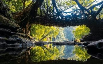 Ecstatic 4 Days 3 Nights Mawlynnong Dawki Vacation Package