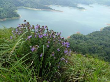 7 Days 6 Nights Munnar, Thekkady with Allepey Trip Package