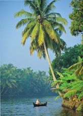 Family Getaway 7 Days Kochi to Cochin Trip Package