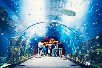 Best 5 Days Dubai Family Trip Package