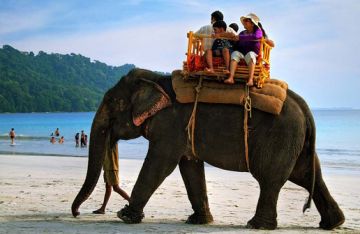 8 Days 7 Nights Port Blair to Snorkeling at Elephant Beach Holiday Package