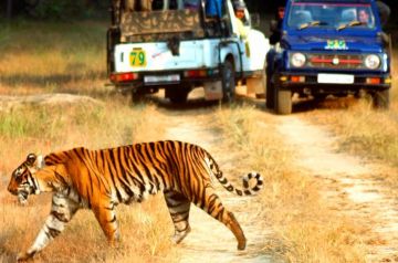 8 Days 7 Nights Agra Park Tour Package