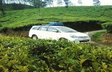 Magical 4 Days 3 Nights Munnar, Cochin with Alleppey Tour Package