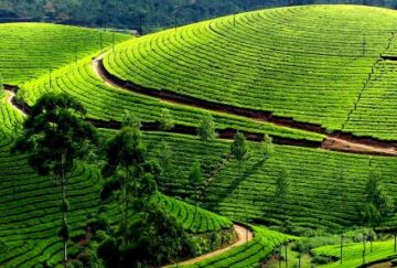 6 Days Thekkady Family Tour Package