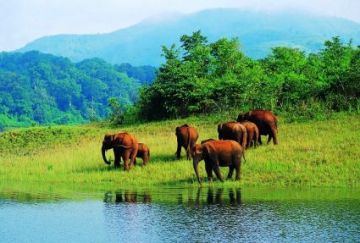 7 Days 6 Nights Kochi to thekkady Culture Holiday Package