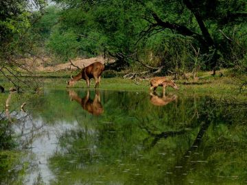 Best 2 Days Bharatpur Culture and Heritage Tour Package