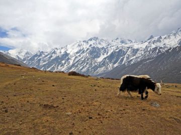 Memorable 12 Days 11 Nights Langtang Vacation Package