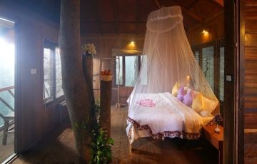 4 Days 3 Nights Munnar Romantic Vacation Package