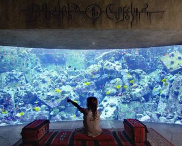 Pleasurable 5 Days 4 Nights Dubai Cruise Vacation Package