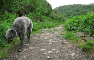 Amazing 6 Days 5 Nights Suryanelli Island Holiday Package