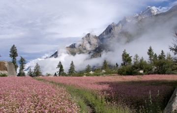 Amazing 10 Days Nako tabo Weekend Getaways Tour Package