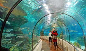 Experience 4 Days Delhi to Dubai Luxury Vacation Package