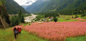 Ecstatic 5 Days 4 Nights Shimla, Kapla and Sangla Holiday Package