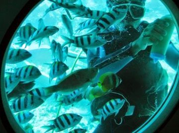 Experience 5 Days 4 Nights Bali Honeymoon Tour Package