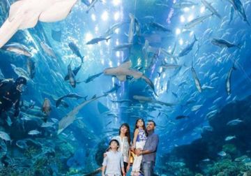 Memorable 6 Days Delhi to Dubai Vacation Package