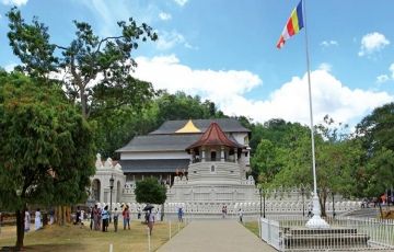 Experience 7 Days 6 Nights Negombo Tour Package