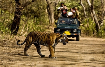 7 Days 6 Nights Kathgodam to Delhi - Nainital - Kausani - Corbett - Mussoorie Trip Package