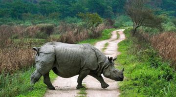 6 Days 5 Nights Shillong Wildlife Holiday Package