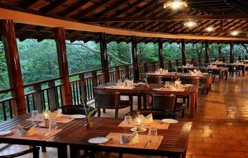 Amazing 3 Days 2 Nights Wayanad Honeymoon Tour Package