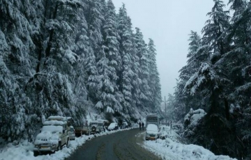 Magical Shimla Manali Tour Package for 6 Days from Delhi