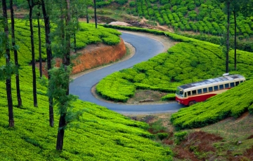 Cochin Hill Stations Tour Package for 6 Days