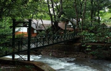 Amazing 3 Days 2 Nights Wayanad Honeymoon Tour Package